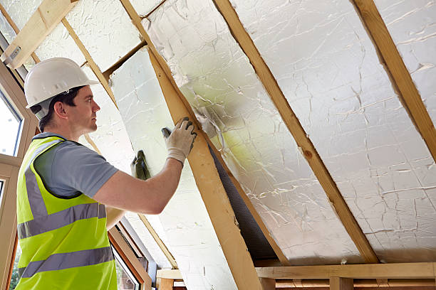 Professional Insulation Contractor in Logan, WV
